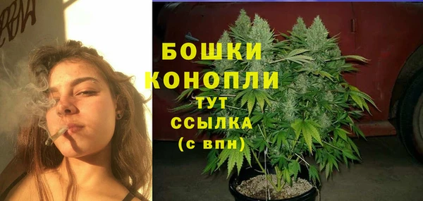 молекула духа Балабаново
