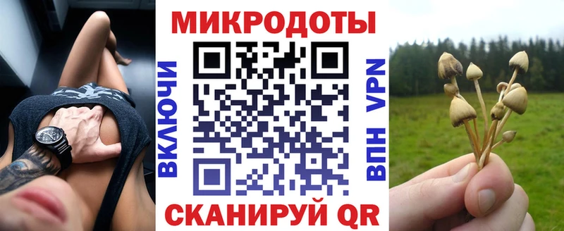 Галлюциногенные грибы прущие грибы  Тосно 